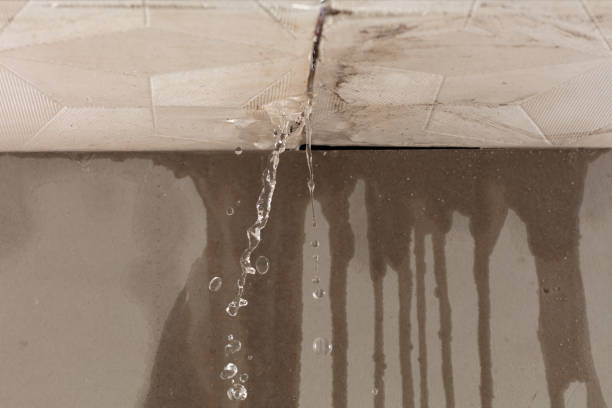 Professional Flood Damage Cleanup technician working in Hopkins, MI